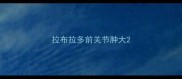 拉布拉多前关节肿大