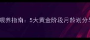 金毛犬科学喂养指南5大黄金阶段月龄划分与营养方案