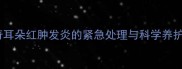 哈士奇耳朵红肿发炎的紧急处理与科学养护指南