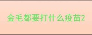 金毛都要打什么疫苗