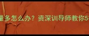 金毛犬生理期量多怎么办资深训导师教你5招科学护理指南