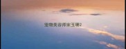 宠物美容师宋玉珊