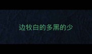 边牧白的多黑的少