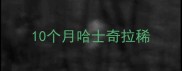 10个月哈士奇拉稀