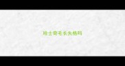 哈士奇毛长失格吗