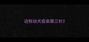 边牧幼犬疫苗第三针