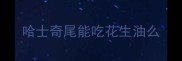 哈士奇尾能吃花生油么