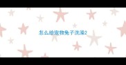怎么给宠物兔子洗澡