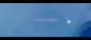 小土狗用打疫苗吗