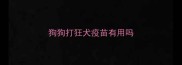 狗狗打狂犬疫苗有用吗