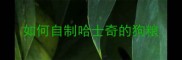 如何自制哈士奇的狗粮