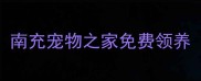 南充宠物之家免费领养