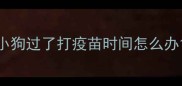 小狗过了打疫苗时间怎么办
