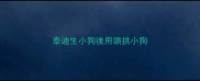 泰迪生小狗後用頭拱小狗