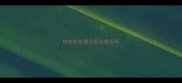 拉布拉多满月后会换毛吗