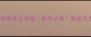 2个月金毛幼犬科学喂养全攻略新手必看黄金月怎么喂狗粮不翻车