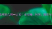 哈士奇换毛期多久剪一次毛全攻略时间频率与护理技巧