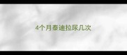 4个月泰迪拉尿几次