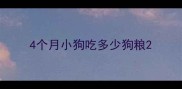 4个月小狗吃多少狗粮