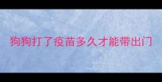 狗狗打了疫苗多久才能带出门