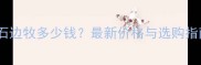 陨石边牧多少钱最新价格与选购指南