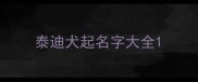 泰迪犬起名字大全
