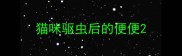 猫咪驱虫后的便便