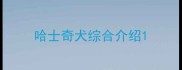 哈士奇犬综合介绍