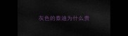 灰色的泰迪为什么贵