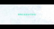 狗狗打疫苗会打死吗