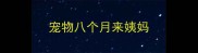 宠物八个月来姨妈