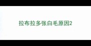 拉布拉多张白毛原因