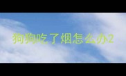 狗狗吃了烟怎么办