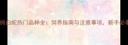 宠物纯白蛇热门品种全饲养指南与注意事项新手必看