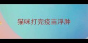 猫咪打完疫苗浮肿