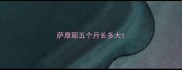 萨摩耶五个月长多大