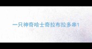 一只神奇哈士奇拉布拉多串