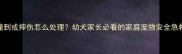 狗狗被撞到或摔伤怎么处理幼犬家长必看的家庭宠物安全急救指南