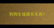 狗狗生殖器长东西