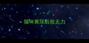 猫咪黄尿后肢无力