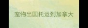 宠物出国托运到加拿大