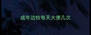 成年边牧每天大便几次