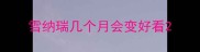 雪纳瑞几个月会变好看