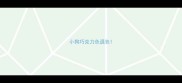 小狗巧克力色退色