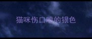 猫咪伤口喷的银色