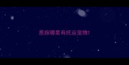 恩施哪里有托运宠物