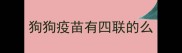 狗狗疫苗有四联的么