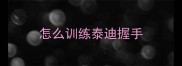 怎么训练泰迪握手