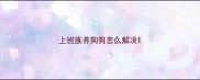 上班族养狗狗怎么解决