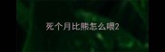 死个月比熊怎么喂